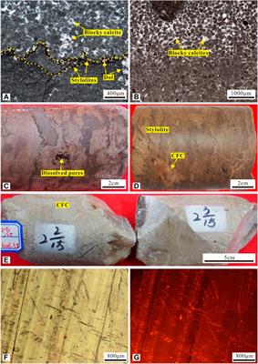 Fluid Inclusion, Isotopic, and Elemental Geochemistry Studies of Cave-Filling Calcite in the Lower–Middle Ordovician Yingshan Formation of Tahe Oilfield, NW China: Implication for Karstification in Non-exposed Limestone